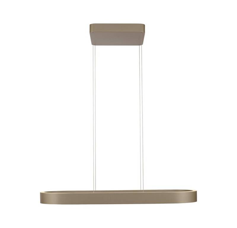 Paul Neuhaus LED Pendelleuchte LED Pendellampe Q-STRETTO, Farbtemperaturregelung (CCT), dimmbar höhenverstellbar, 2xLED/22Watt, warmweiss-kaltweiß (CCT), höhenverstellbar Up&Down Licht CCT von Paul Neuhaus