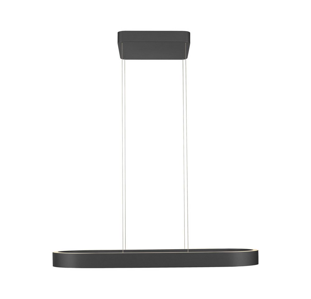 Paul Neuhaus LED Pendelleuchte LED Pendellampe Q-STRETTO, Farbtemperaturregelung (CCT), dimmbar höhenverstellbar, 2xLED/22Watt, warmweiss-kaltweiß (CCT), höhenverstellbar Up&Down Licht CCT von Paul Neuhaus