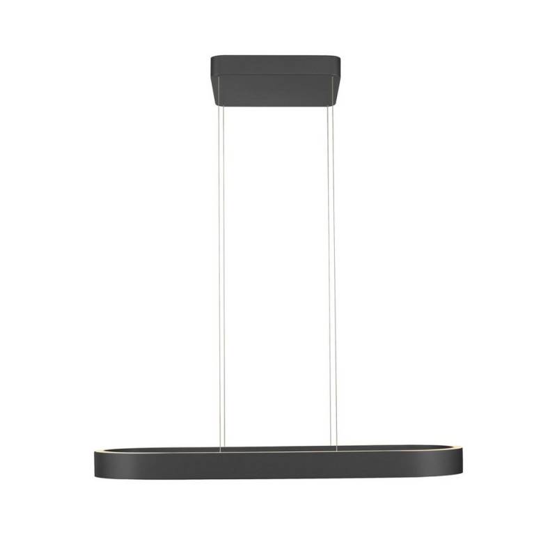 Paul Neuhaus LED Pendelleuchte LED Pendellampe Q-STRETTO, Farbtemperaturregelung (CCT), dimmbar höhenverstellbar, 2xLED/22Watt, warmweiss-kaltweiß (CCT), höhenverstellbar Up&Down Licht CCT von Paul Neuhaus