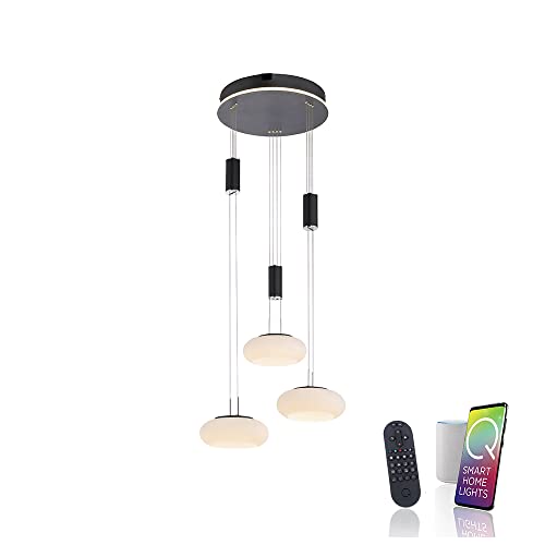 Paul Neuhaus LED Pendelleuchte aus Glas, Q Etienne Smart Home, CCT Lichttemperaturwechsel, höhenverstellbar, Fernbedienung… von Paul Neuhaus