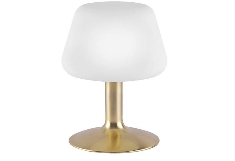 Paul Neuhaus LED Tischleuchte PAUL NEUHAUS LED-Tischleuchte 4078-60 messing-matt, 2,6 W, 265 lm von Paul Neuhaus