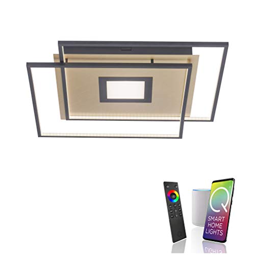 Paul Neuhaus Q-AMIRA 8379-18 LED Deckenleuchte, dimmbar per Fernbedienung, Alexa kompatibel Smart Home, warmweiß - kaltweiss Paul Neuhaus Q-AMIRA 8379-18 LED Deckenleuchte, dimmbar per Fernbedienung, Alexa kompatibel Smart Home, warmweiß - kaltweiss von Paul Neuhaus