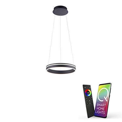 Paul Neuhaus Q-VITO LED Pendelleuchte, Works with Alexa – Smart Home, Fernbedienung CCT warmeiß – kaltweiß (40cm Anthrazit) von Paul Neuhaus