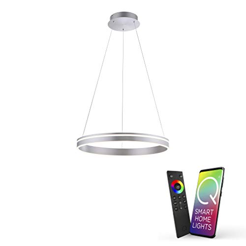 Paul Neuhaus Q-VITO LED Pendelleuchte, Works with Alexa - Smart Home, Fernbedienung CCT warmeiß - kaltweiß (59cm Silber)… von Paul Neuhaus