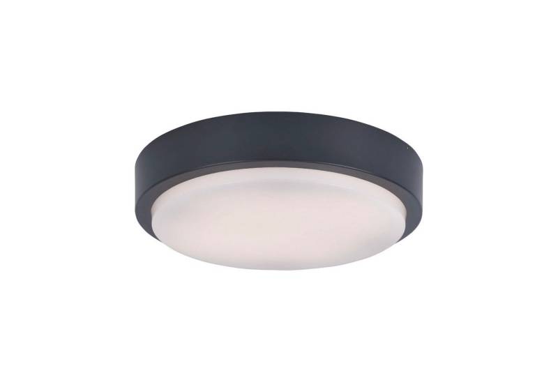 Paul Neuhaus Smarte LED-Leuchte LED Außen-Deckenlampe Q - LENNY Smart Home, Smart Home, RGB-Farbwechsel, Dimmfunktion, Memoryfunktion, mit Leuchtmittel, Warmweiß, RGB+W Farbwechsel dimmbar, Fernbedienung App Alexa von Paul Neuhaus