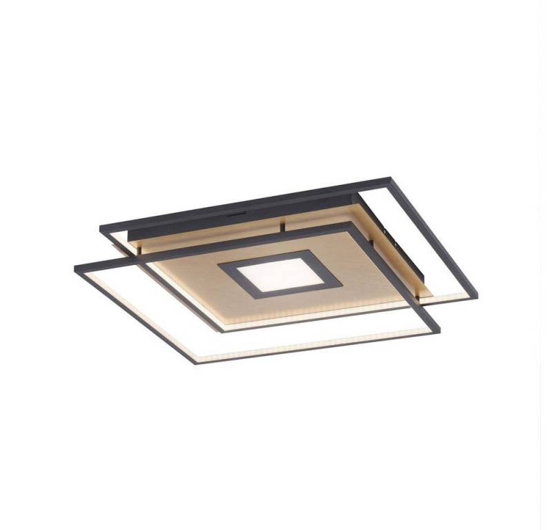 Paul Neuhaus Smarte LED-Leuchte LED Deckenlampe Q-AMIRA, Smart Home, Farbtemperaturregelung, Dimmfunktion, Memoryfunktion, mit Leuchtmittel, Warmweiß bis Kaltweiß, CCT Lichtfarbwechsel, dimmbar Fernbedienung, APP von Paul Neuhaus