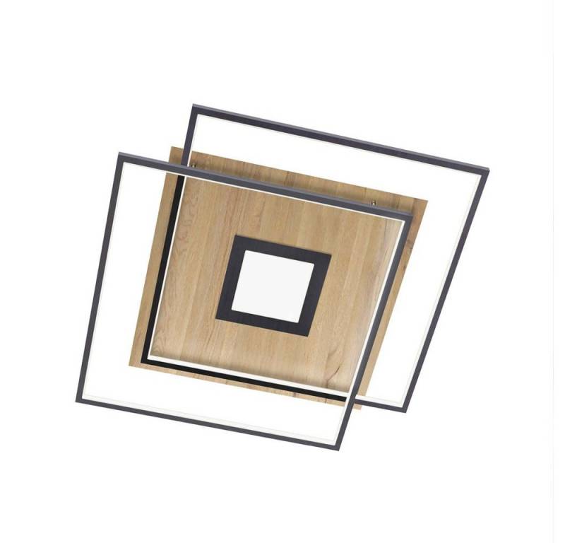 Paul Neuhaus Smarte LED-Leuchte LED Deckenlampe Q-AMIRA, Smart Home, Farbtemperaturregelung, Dimmfunktion, Memoryfunktion, mit Leuchtmittel, Warmweiß bis Kaltweiß, CCT Lichtfarbwechsel, dimmbar Fernbedienung, APP von Paul Neuhaus