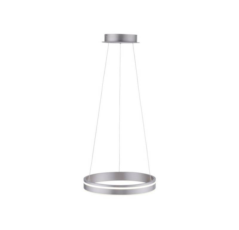 Paul Neuhaus Smarte LED-Leuchte LED Pendellampe CCT Q-Vito Ring, Smart Home, CCT-Farbregelung, Dimmfunktion, Memoryfunktion, mit Leuchtmittel, CCT warmweiß - kaltweiß, Pendelleuchte Ring Works with Alexa, Farbwechsel von Paul Neuhaus
