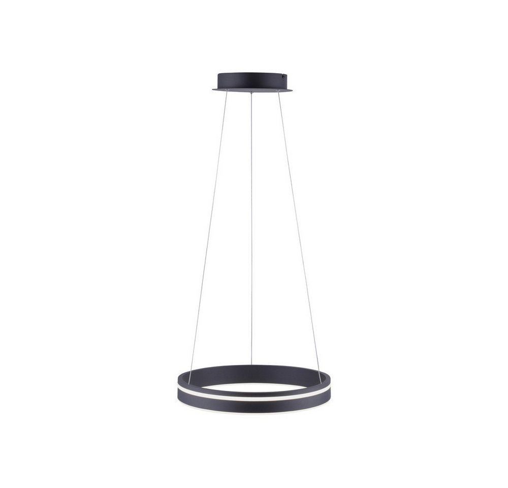 Paul Neuhaus Smarte LED-Leuchte LED Pendellampe CCT Q-Vito Ring, Smart Home, CCT-Farbregelung, Dimmfunktion, Memoryfunktion, mit Leuchtmittel, Pendelleuchte Ring Works with Alexa, Farbwechsel von Paul Neuhaus