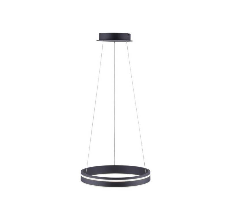 Paul Neuhaus Smarte LED-Leuchte LED Pendellampe CCT Q-Vito Ring, Smart Home, CCT-Farbregelung, Dimmfunktion, Memoryfunktion, mit Leuchtmittel, CCT warmweiß - kaltweiß, Pendelleuchte Ring Works with Alexa, Farbwechsel von Paul Neuhaus