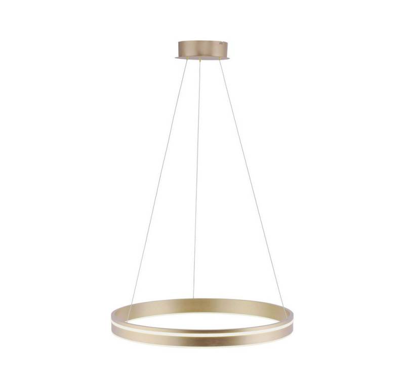Paul Neuhaus Smarte LED-Leuchte LED Pendellampe CCT Q-Vito Ring, Smart Home, RGB+W-Farbregelung, Dimmfunktion, Memoryfunktion, mit Leuchtmittel, CCT warmweiß - kaltweiß, Pendelleuchte Ring Works with Alexa, Fernbedienung von Paul Neuhaus