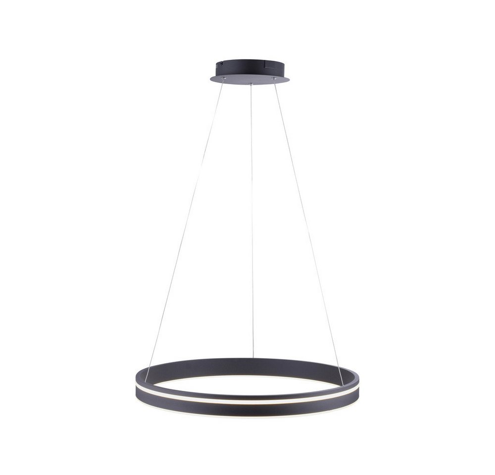 Paul Neuhaus Smarte LED-Leuchte LED Pendellampe CCT Q-Vito Ring, Smart Home, RGB+W-Farbregelung, Dimmfunktion, Memoryfunktion, mit Leuchtmittel, CCT warmweiß - kaltweiß, Pendelleuchte Ring Works with Alexa, Fernbedienung Paul Neuhaus Smarte LED-Leuchte LED Pendellampe CCT Q-Vito Ring, Smart Home, RGB+W-Farbregelung, Dimmfunktion, Memoryfunktion, mit Leuchtmittel, CCT warmweiß - kaltweiß, Pendelleuchte Ring Works with Alexa, Fernbedienung von Paul Neuhaus