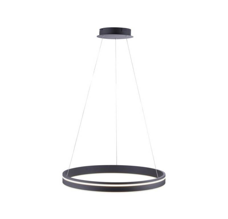 Paul Neuhaus Smarte LED-Leuchte LED Pendellampe CCT Q-Vito Ring, Smart Home, RGB+W-Farbregelung, Dimmfunktion, Memoryfunktion, mit Leuchtmittel, CCT warmweiß - kaltweiß, Pendelleuchte Ring Works with Alexa, Fernbedienung von Paul Neuhaus