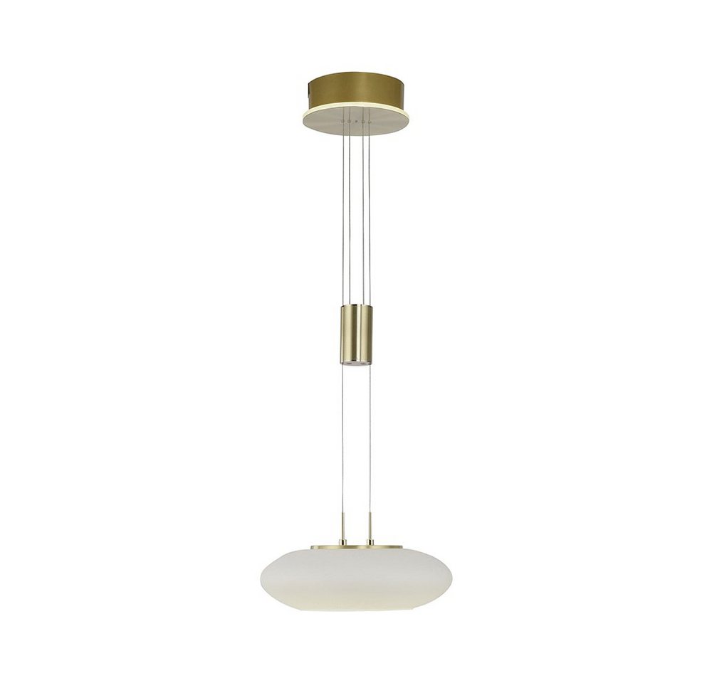 Paul Neuhaus Smarte LED-Leuchte LED Pendellampe Q ETIENNE Smart Home, Smart Home, CCT-Farbtemperaturregelung, RGB-Farbwechsel, Dimmfunktion, Memoryfunktion, mit Leuchtmittel, Warmweiß bis Tageslichtweiß, dimmbar Fernbedienung höhenverstellbar CCT Pendel Paul Neuhaus Smarte LED-Leuchte LED Pendellampe Q ETIENNE Smart Home, Smart Home, CCT-Farbtemperaturregelung, RGB-Farbwechsel, Dimmfunktion, Memoryfunktion, mit Leuchtmittel, Warmweiß bis Tageslichtweiß, dimmbar Fernbedienung höhenverstellbar CCT Pendel von Paul Neuhaus