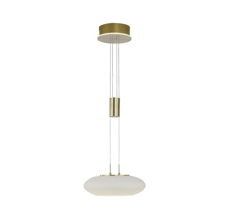 Paul Neuhaus Smarte LED-Leuchte LED Pendellampe Q ETIENNE Smart Home, Smart Home, CCT-Farbtemperaturregelung, RGB-Farbwechsel, Dimmfunktion, Memoryfunktion, mit Leuchtmittel, Warmweiß bis Tageslichtweiß, dimmbar Fernbedienung höhenverstellbar CCT Pendel von Paul Neuhaus