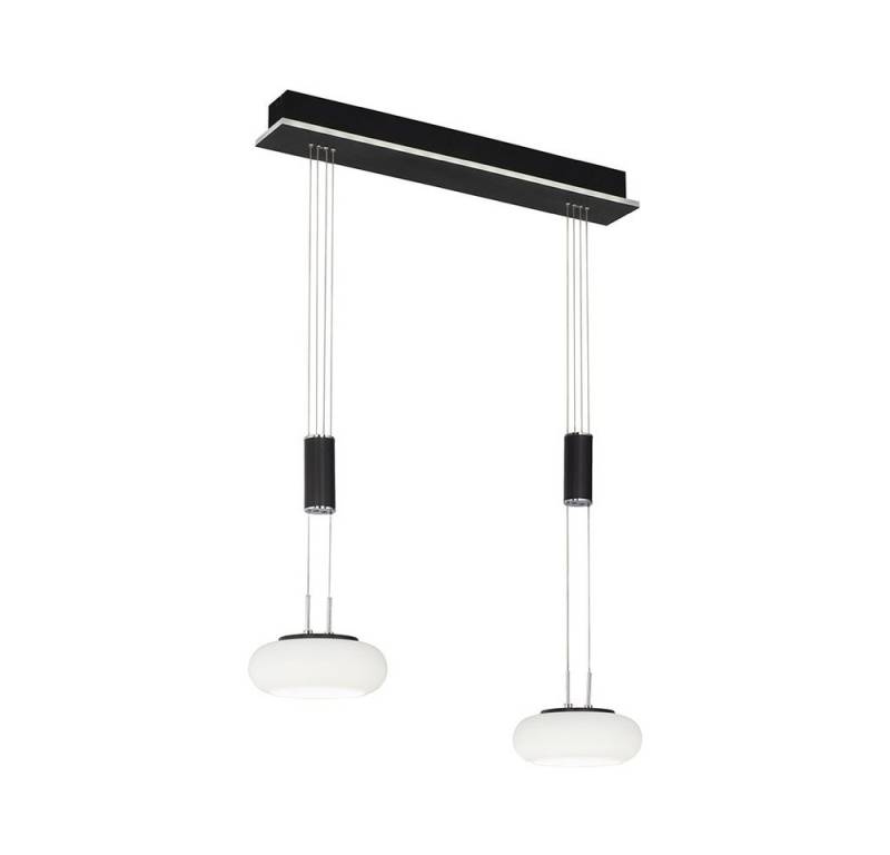 Paul Neuhaus Smarte LED-Leuchte LED Pendellampe Q ETIENNE Smart Home, Smart Home, CCT-Farbtemperaturregelung, RGB-Farbwechsel, Dimmfunktion, Memoryfunktion, mit Leuchtmittel, Warmweiß bis Tageslichtweiß, dimmbar Fernbedienung höhenverstellbar CCT Pendel von Paul Neuhaus