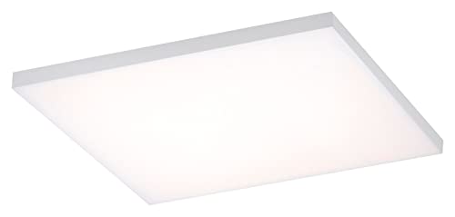 Q-Frameless, rahmenloses LED Panel, 45x45 | Smart-Home Decken-Lampe mit RGB-Farbwechsel | dimmbare Deckenleuchte, Alexa kompatibel | warmweiss - kaltweiss Temperatursteuerung … von Paul Neuhaus