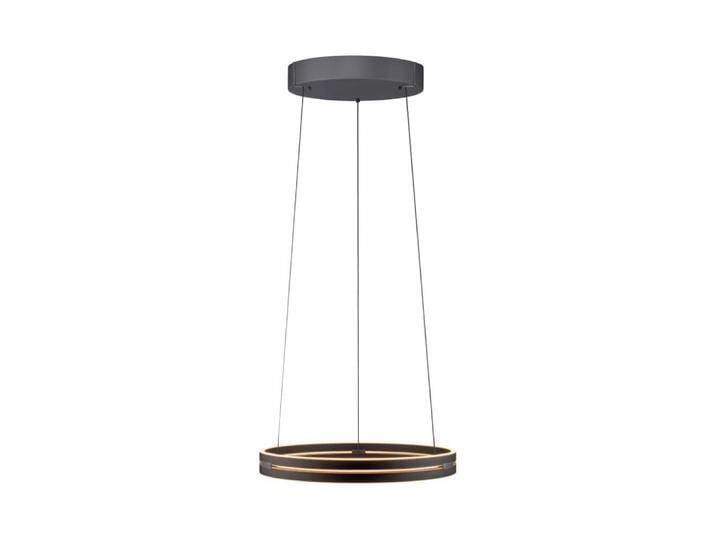 Schlanke Hängelampe Pure E-Loop Schwarz Paul Neuhaus - 2550-18 von Paul-Neuhaus