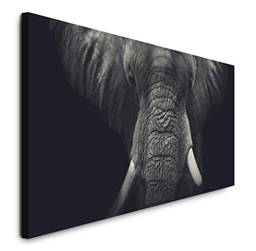 Paul Sinus Art GmbH Elefanten Portrait 120x 50cm Panorama Leinwand Bild XXL Format Wandbilder Wohnzimmer Wohnung Deko Kunstdrucke von Paul Sinus Art GmbH