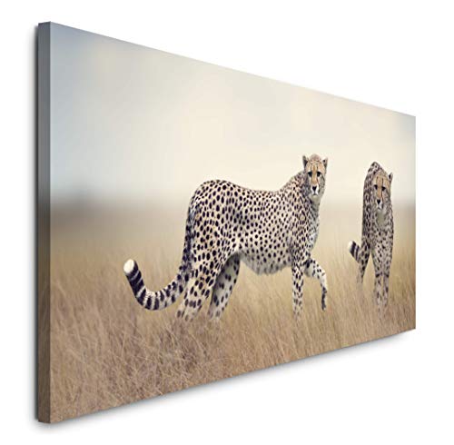 Paul Sinus Art GmbH Geparden in Afrika 120x 50cm Panorama Leinwand Bild XXL Format Wandbilder Wohnzimmer Wohnung Deko Kunstdrucke von Paul Sinus Art GmbH