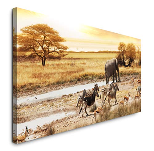 Paul Sinus Art GmbH Landschaft Afrika 120x 50cm Panorama Leinwand Bild XXL Format Wandbilder Wohnzimmer Wohnung Deko Kunstdrucke von Paul Sinus Art GmbH