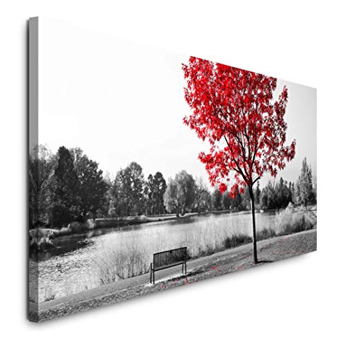 Paul Sinus Art GmbH Parkbank unter einem Baum 120x 50cm Panorama Leinwand Bild XXL Format Wandbilder Wohnzimmer Wohnung Deko Kunstdrucke von Sinus Art