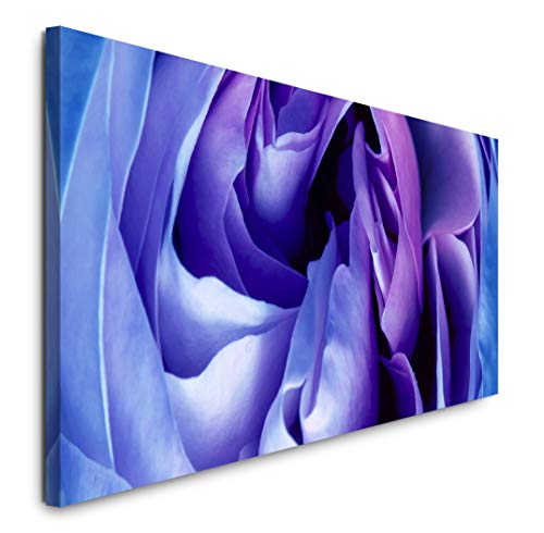 Paul Sinus Art GmbH Rosen in Farbe Lila 120x 50cm Panorama Leinwand Bild XXL Format Wandbilder Wohnzimmer Wohnung Deko Kunstdrucke von Paul Sinus Art GmbH