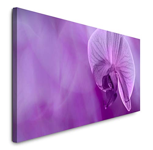 Paul Sinus Art GmbH Tulpe mit Lila Hintergrund 120x 50cm Panorama Leinwand Bild XXL Format Wandbilder Wohnzimmer Wohnung Deko Kunstdrucke von Sinus Art