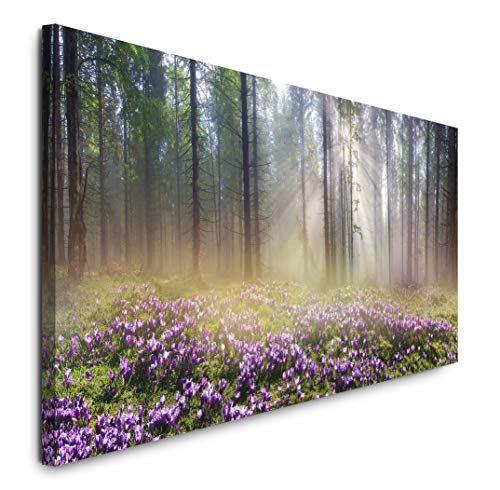 Paul Sinus Art GmbH Wald 120x 50cm Panorama Leinwand Bild XXL Format Wandbilder Wohnzimmer Wohnung Deko Kunstdrucke von Paul Sinus Art GmbH