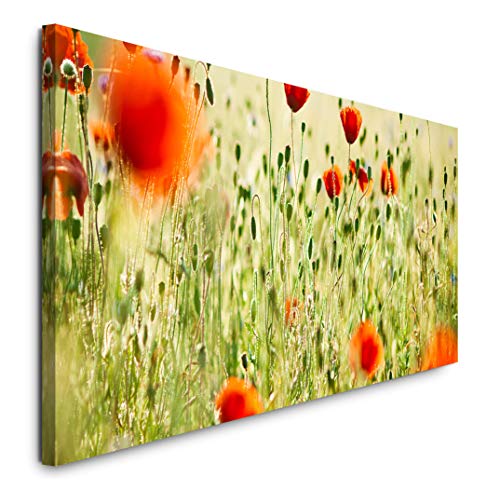 Paul Sinus Art GmbH Wiesen 120x 50cm Panorama Leinwand Bild XXL Format Wandbilder Wohnzimmer Wohnung Deko Kunstdrucke von Paul Sinus Art GmbH