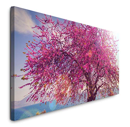 Paul Sinus Art GmbH blühender Baum 120x 50cm Panorama Leinwand Bild XXL Format Wandbilder Wohnzimmer Wohnung Deko Kunstdrucke von Sinus Art