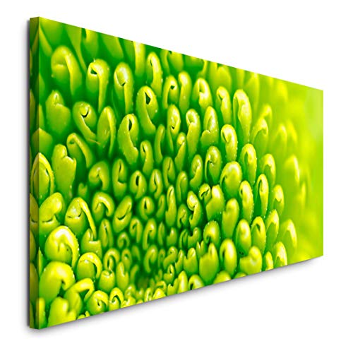 Paul Sinus Art GmbH grüne Blumen 120x 50cm Panorama Leinwand Bild XXL Format Wandbilder Wohnzimmer Wohnung Deko Kunstdrucke von Paul Sinus Art GmbH