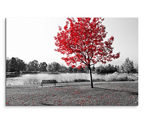 120x80cm Leinwandbild auf Keilrahmen Park Bank Teich schwarz weiß Baum rote Blätter Wandbild auf Leinwand als Panorama von Paul Sinus Art