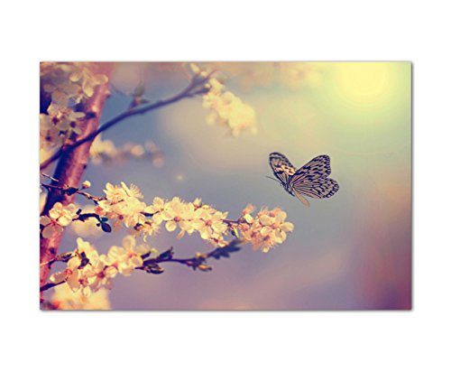 Paul Sinus Art 120x80cm - WANDBILD Kirschblüten Schmetterling Frühling Natur - Leinwandbild auf Keilrahmen modern stilvoll - Bilder und Dekoration von Paul Sinus Art