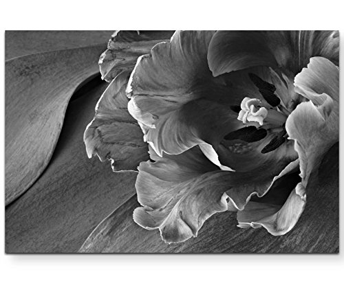 Leinwandbilder | Bilder Leinwand 120x80cm Papageien Tulpe schwarz/weiß von Paul Sinus Art