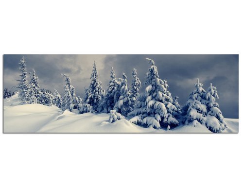 PANORAMA BILD in 150x50cm (Winterlandschaft Wald Tannen Fichten Schnee Bäume) TOP Bilder! Wandbild xxl günstig & modern ART PRINT Wandbilder Bilder EXKLUSIVES Fotowandbild auf Leinwand und Keilrahmen Bild Leinwandbild Fotodruck modern Zeitlos Stilvoll wie ein Gemälde Ausführung schöner Kunstdruck auf echter Leinwand als Wandbild mit Rahmen. Preiswerter als Ölbild Gemälde Foto Poster Plakat mit Bilderrahmen. von Paul Sinus Art