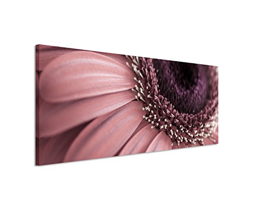 Paul Sinus Art Panoramabild 150x50cm Naturfotografie – Blumen in Altrosa auf Leinwand Exklusives Wandbild Moderne Fotografie für ihre Wand in vielen Größen von Paul Sinus Art