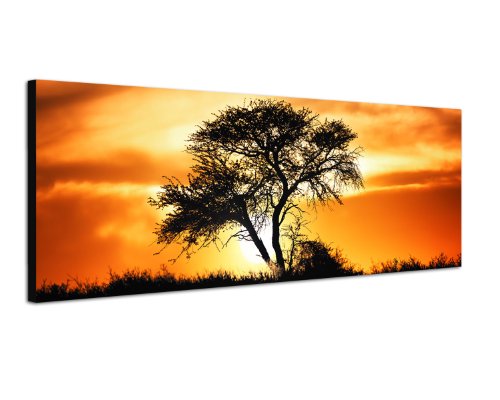 Panoramabild auf Leinwand und Keilrahmen 120x40cm Afrika Kalahari Baum Sonnenuntergang von Paul Sinus Art