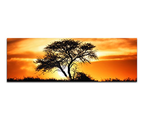Panoramabild auf Leinwand und Keilrahmen 120x40cm Afrika Kalahari Baum Sonnenuntergang Panoramabild auf Leinwand und Keilrahmen 120x40cm Afrika Kalahari Baum Sonnenuntergang von Paul Sinus Art