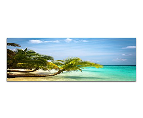 Panoramabild auf Leinwand und Keilrahmen 150x50cm Malediven Meer Strand Palmen Natur Panoramabild auf Leinwand und Keilrahmen 150x50cm Malediven Meer Strand Palmen Natur von Paul Sinus Art