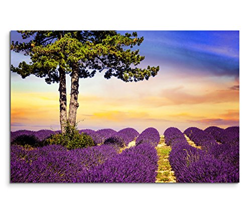 Paul Sinus Art 120x80cm Leinwandbild auf Keilrahmen Provence Lavendelfeld Baum Sommer Wandbild auf Leinwand als Panorama von Paul Sinus Art