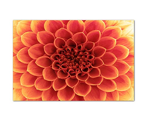 Paul Sinus Art 120x80cm - WANDBILD Blume Blütenblätter makro rot - Leinwandbild auf Keilrahmen modern stilvoll - Bilder und Dekoration von Paul Sinus Art