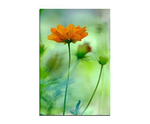 Paul Sinus Art 120x80cm - WANDBILD Blume orange Hintergrund grün - Leinwandbild auf Keilrahmen modern stilvoll - Bilder und Dekoration von Paul Sinus Art