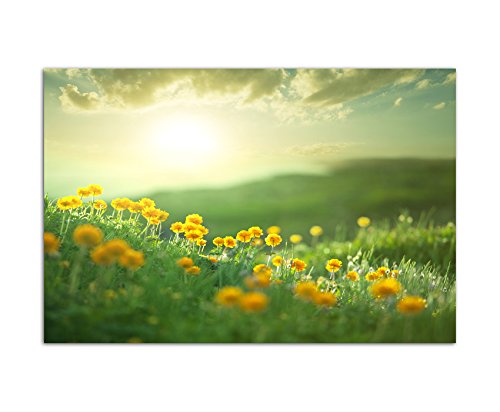 Paul Sinus Art 120x80cm - WANDBILD Blumenwiese Frühling Sonne Natur - Leinwandbild auf Keilrahmen modern stilvoll - Bilder und Dekoration von Paul Sinus Art