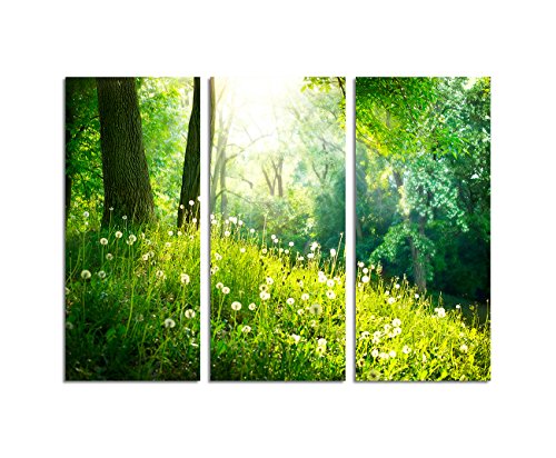 Paul Sinus Art 130x90cm – KUNSTDRUCK Frühling Natur wunderschöne Landschaft Pusteblumen 3teiliges Wandbild auf Leinwand und Keilrahmen - Fotobild Kunstdruck Artprint von Paul Sinus Art