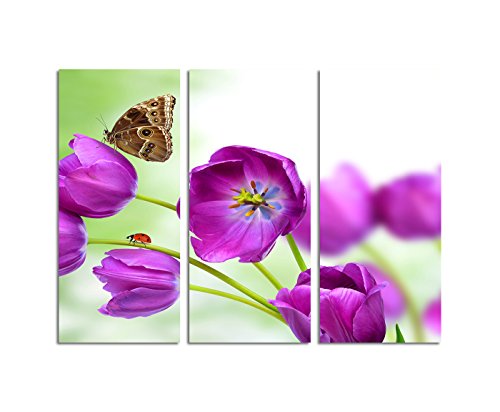 Paul Sinus Art 130x90cm – Keilrahmenbild lila Tulpen Schmetterling Wiese 3teiliges Wandbild auf Leinwand und Keilrahmen - Fotobild Kunstdruck Artprint Paul Sinus Art 130x90cm – Keilrahmenbild lila Tulpen Schmetterling Wiese 3teiliges Wandbild auf Leinwand und Keilrahmen - Fotobild Kunstdruck Artprint von Paul Sinus Art
