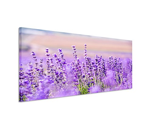 Paul Sinus Art 150x50cm Leinwandbild auf Keilrahmen Lavendel Blumen Wandbild auf Leinwand als Panorama von Paul Sinus Art