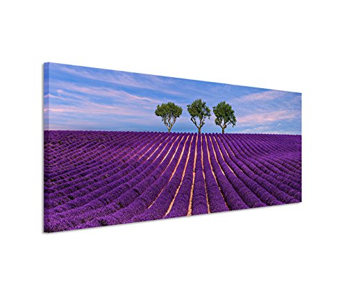 Paul Sinus Art 150x50cm Leinwandbild auf Keilrahmen Lavendelfeld Bäume Sommer Abendlicht Wandbild auf Leinwand als Panorama von Paul Sinus Art