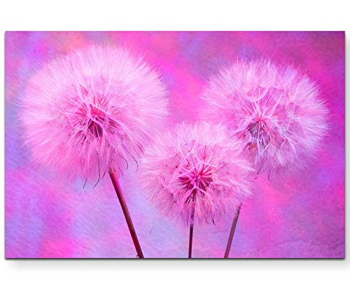 Paul Sinus Art Abstrakte Pusteblumen in Pink - Leinwandbild 120x80cm von Paul Sinus Art