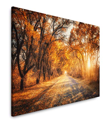 Paul Sinus Art Bäume um einen Schleichweg 40 x 60 cm Inspirierende Fotokunst in Museums-Qualität für Ihr Zuhause als Wandbild auf Leinwand in Paul Sinus Art Bäume um einen Schleichweg 40 x 60 cm Inspirierende Fotokunst in Museums-Qualität für Ihr Zuhause als Wandbild auf Leinwand in von Paul Sinus Art